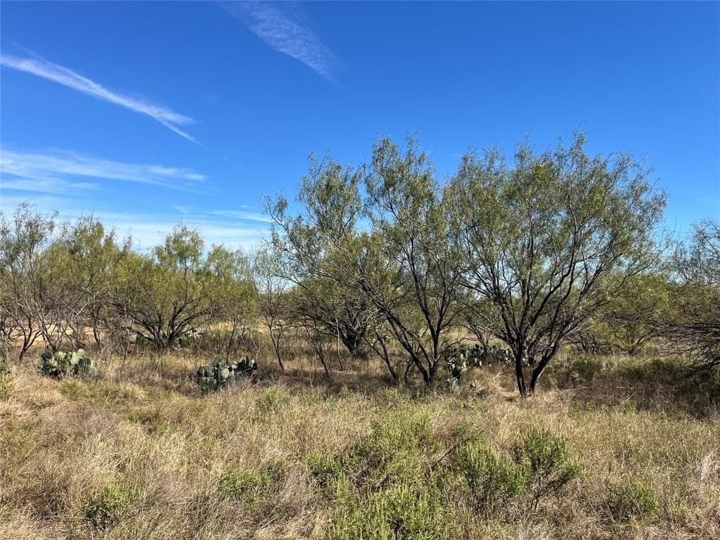 160 acres in Jack County - photo 15