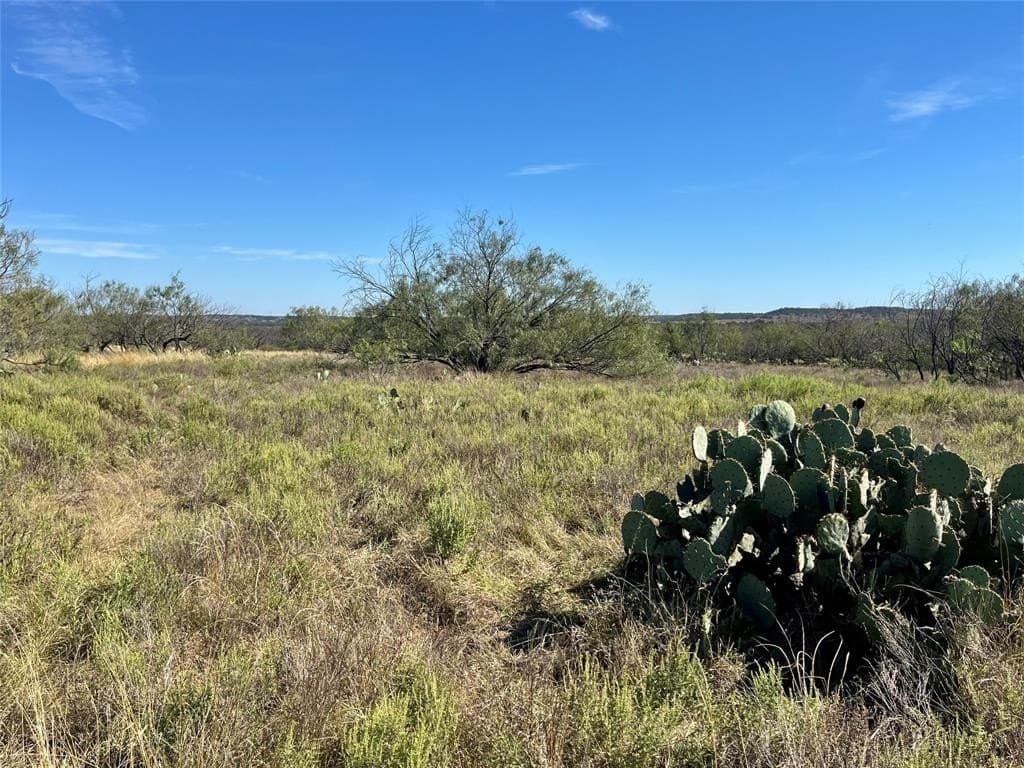 160 acres in Jack County - photo 27