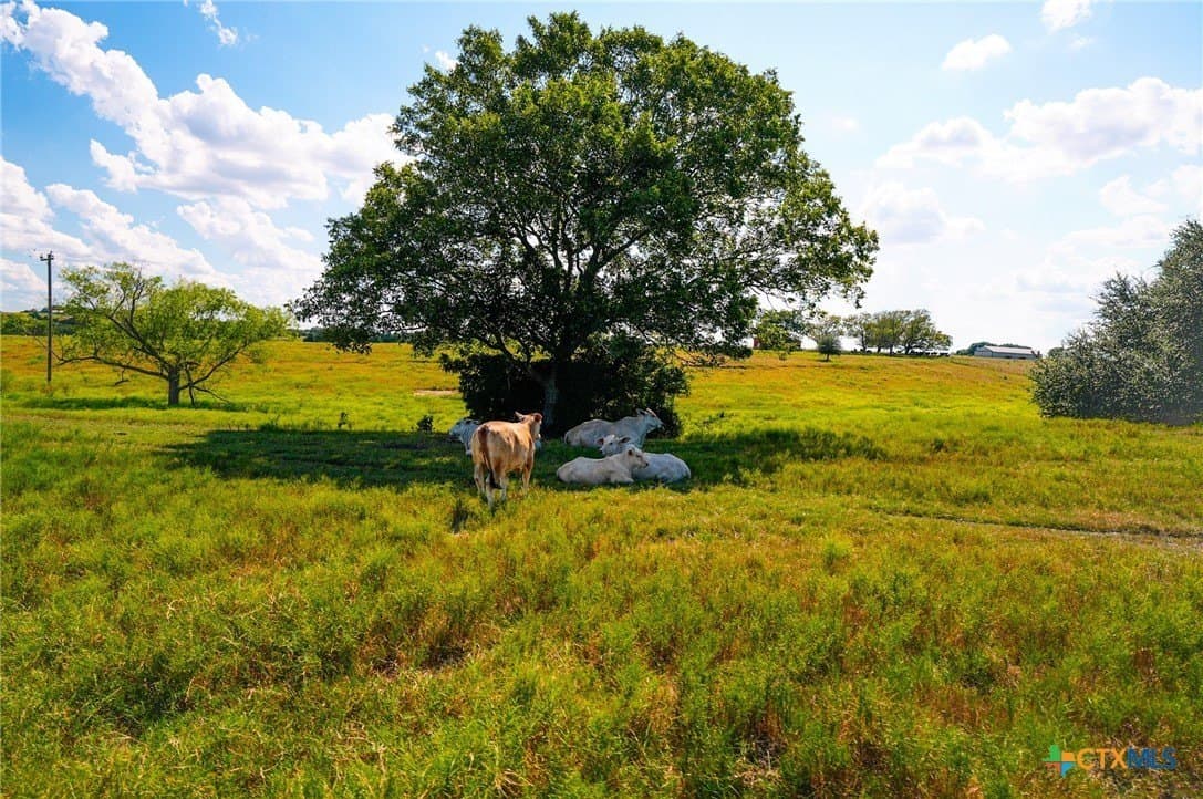 39.14 acres in Fayette County - photo 19
