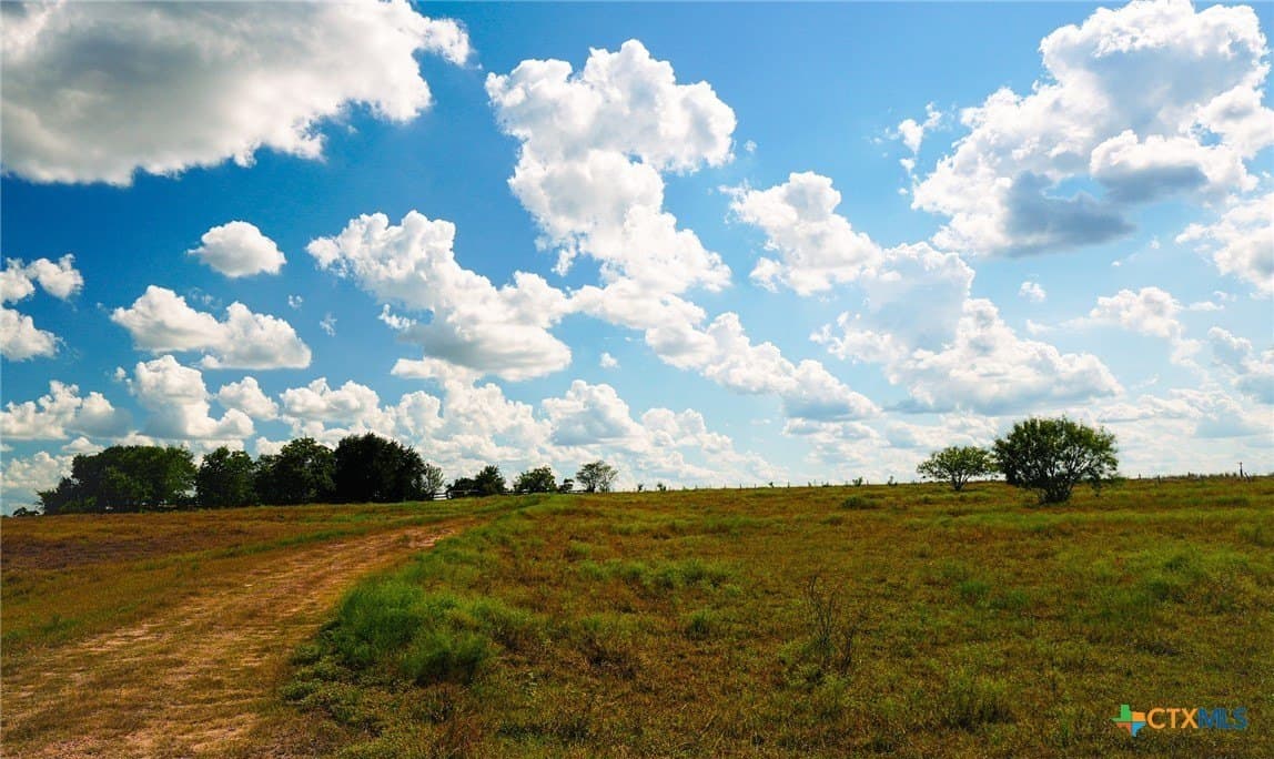39.14 acres in Fayette County - photo 4