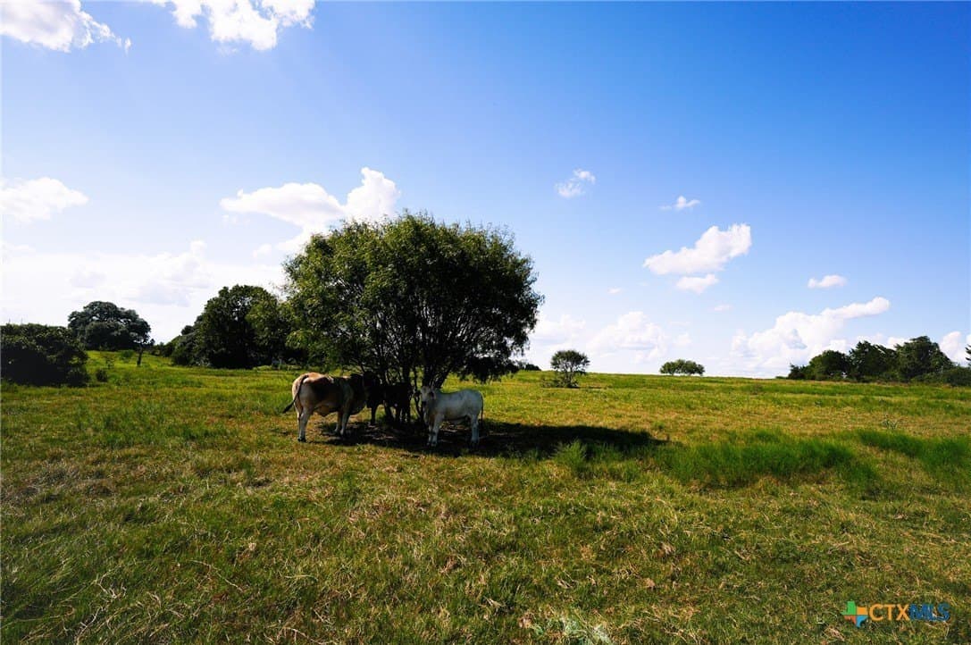 39.14 acres in Fayette County - photo 32
