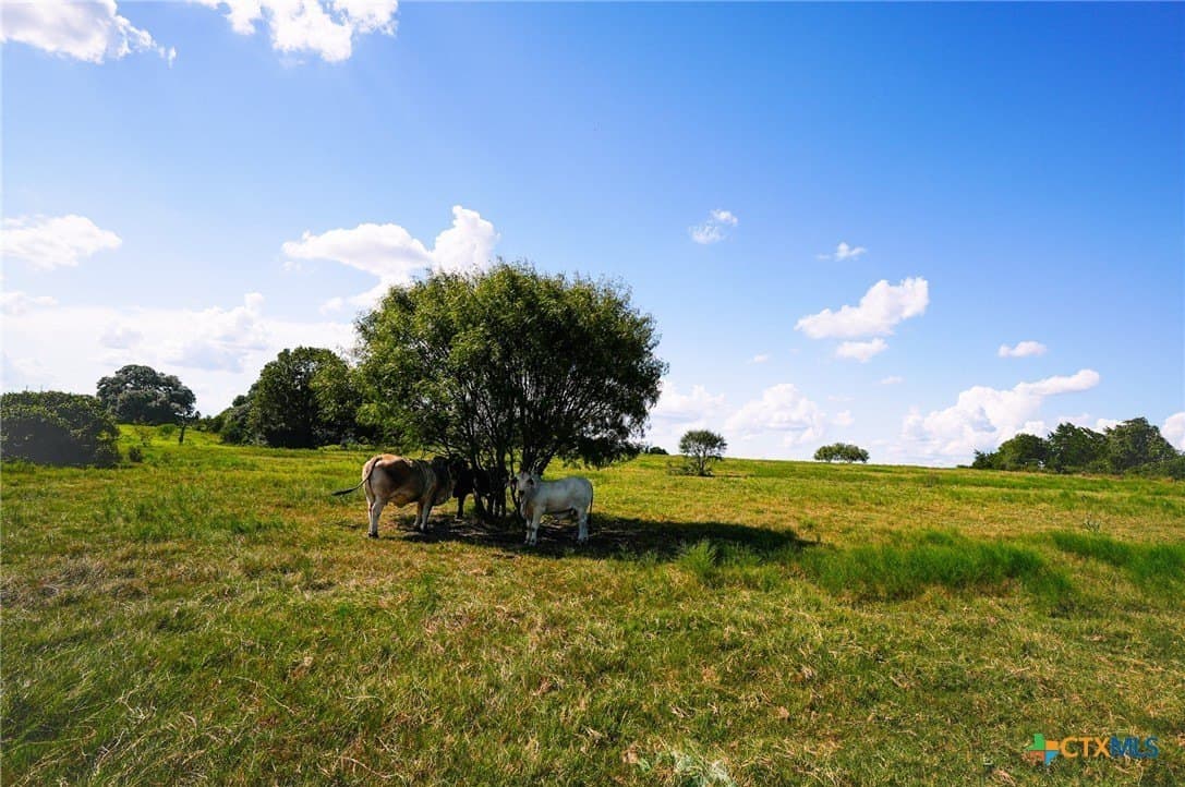 39.14 acres in Fayette County - photo 31