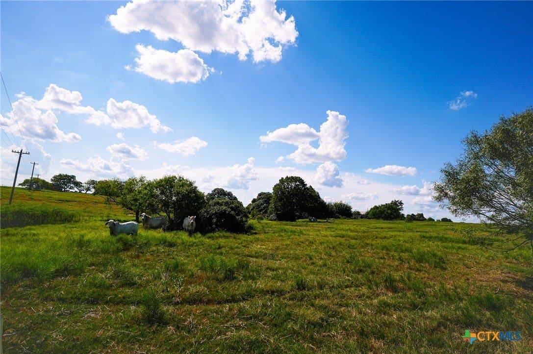 39.14 acres in Fayette County - photo 33