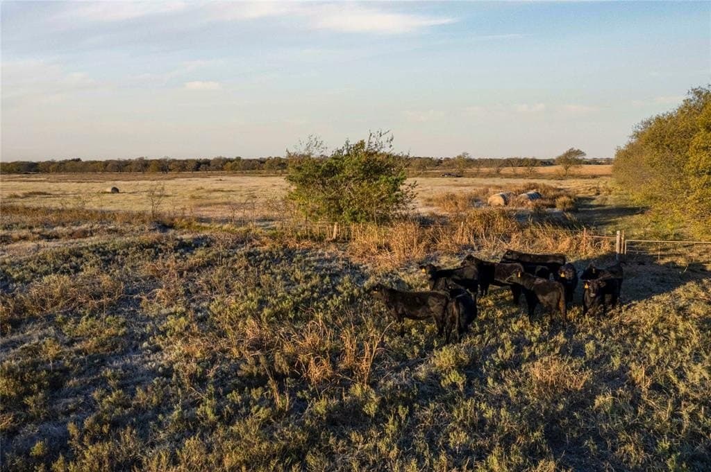 13.5 acres in Cooke County - photo 25
