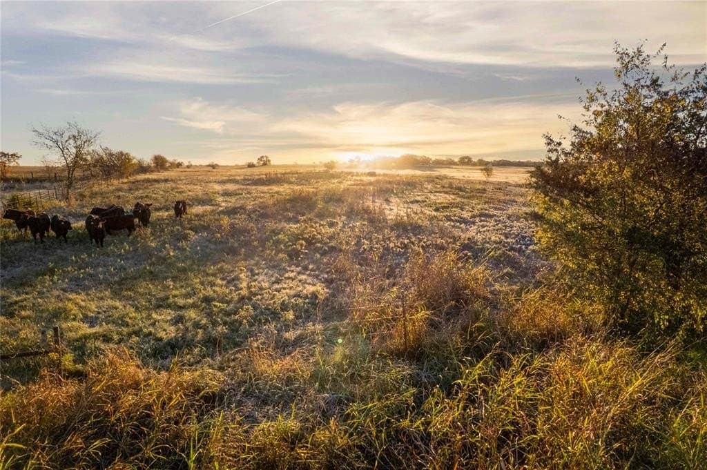13.5 acres in Cooke County - photo 14