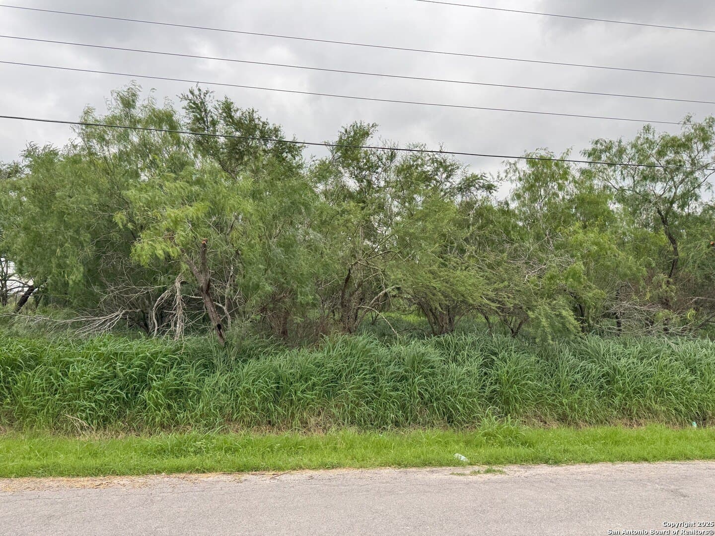 0.32 acres in Hidalgo County - photo 4