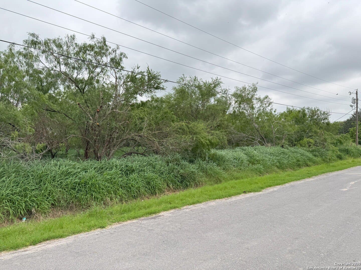 0.32 acres in Hidalgo County - photo 2