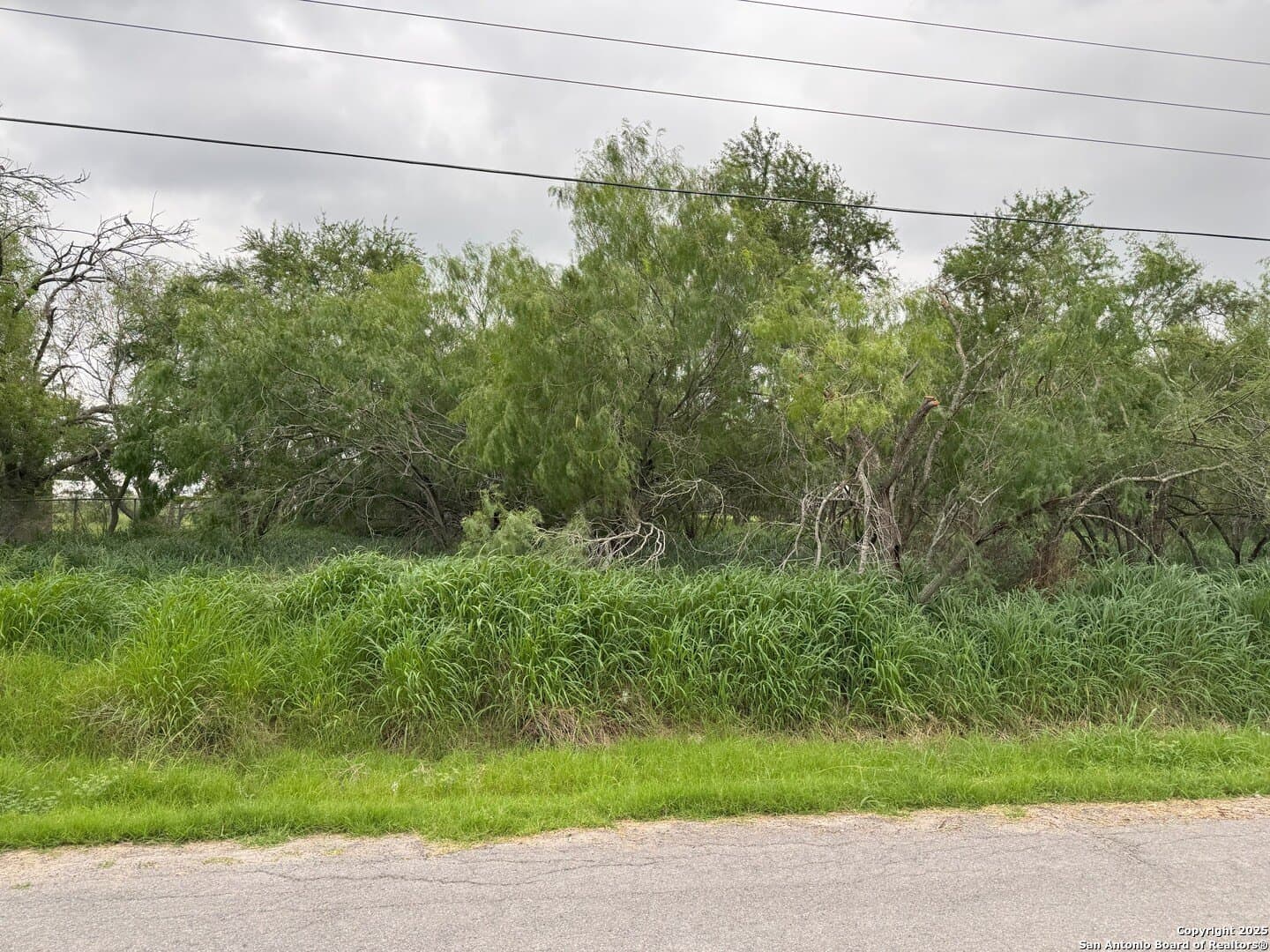 0.32 acres in Hidalgo County - photo 5