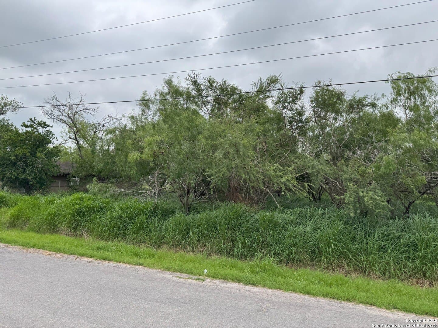 0.32 acres in Hidalgo County - photo 3