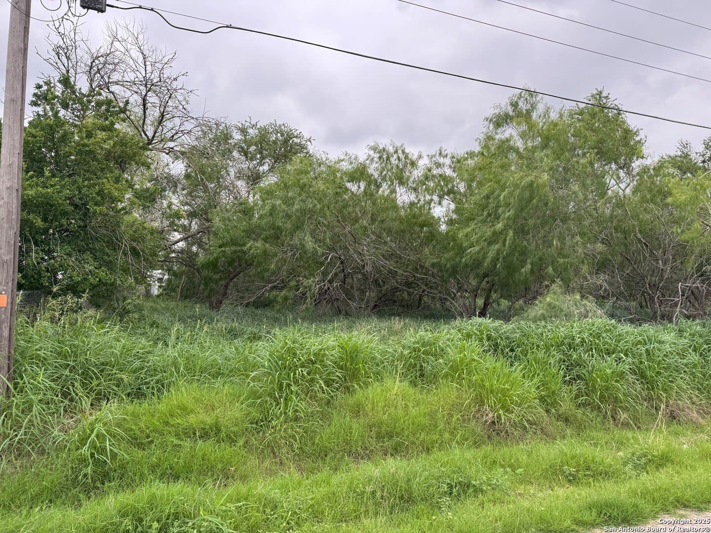 0.32 acres in Hidalgo County - photo 6