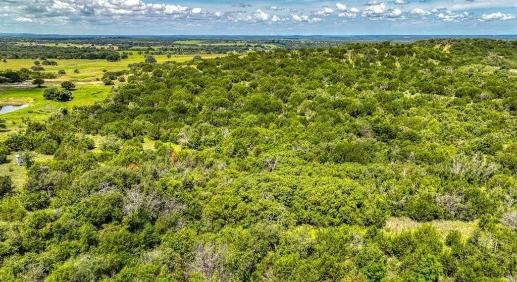 54.78 acres in Erath County - photo 6