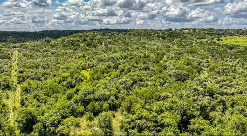 54.78 acres in Erath County - photo 10