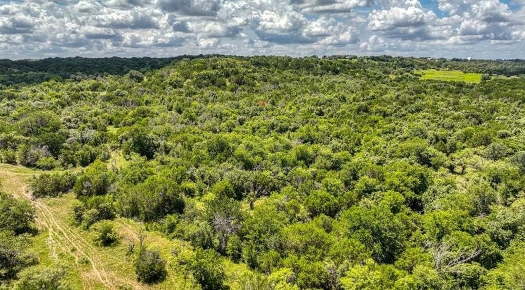 54.78 acres in Erath County - photo 7