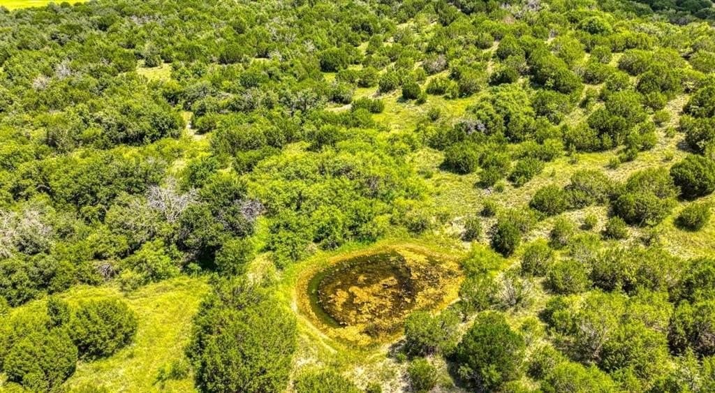 54.78 acres in Erath County - photo 15