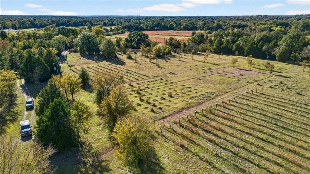 26 acres in Van Zandt County - photo 29