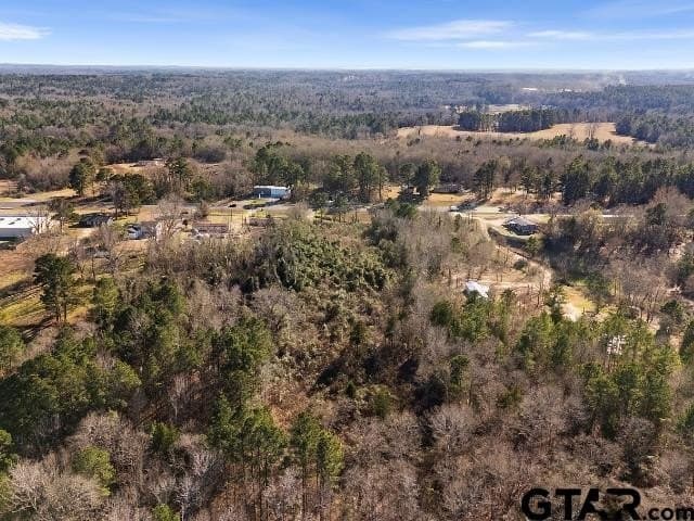 3 acres in Smith County - photo 7