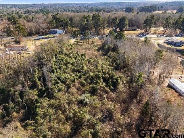 3 acres in Smith County - photo 10