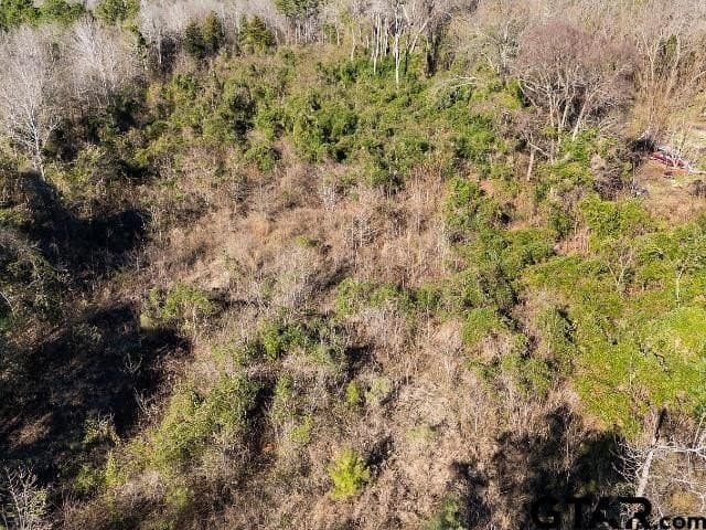 3 acres in Smith County - photo 12