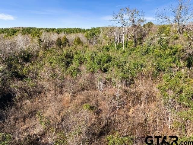 3 acres in Smith County - photo 13
