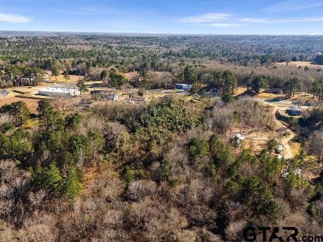 3 acres in Smith County - photo 8