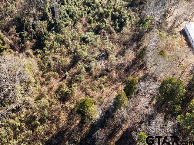 3 acres in Smith County - photo 9