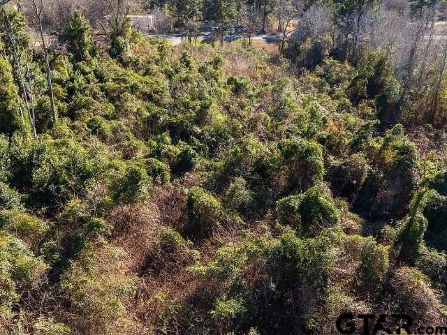 3 acres in Smith County - photo 11