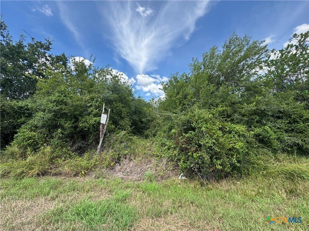 0.23 acres in Victoria County - photo 3