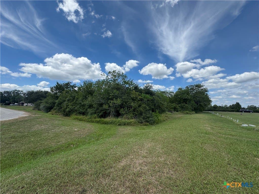 0.23 acres in Victoria County - photo 6
