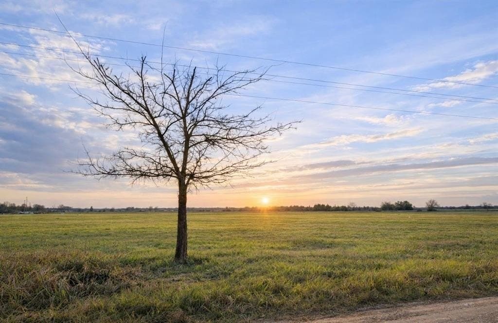 7.45 acres in Lamar County - photo 4