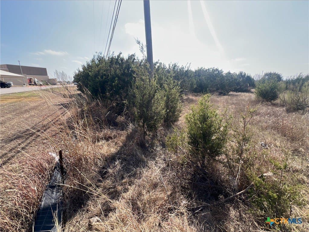 14.62 acres in Bell County - photo 5