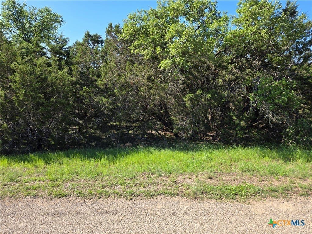 3.25 acres in Hays County - photo 2