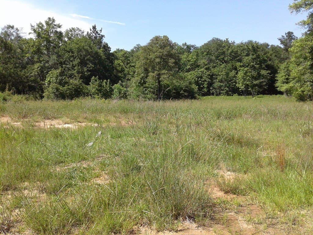 20.75 acres in Texas County - photo 17