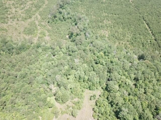 20.75 acres in Texas County - photo 29