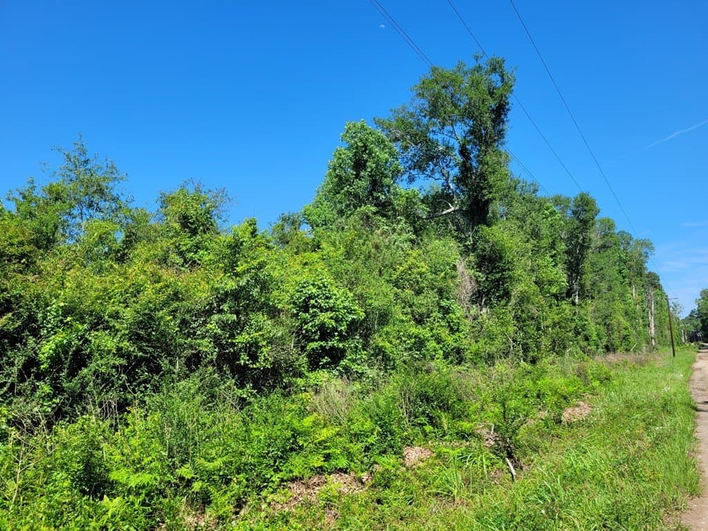 20.75 acres in Texas County - photo 7