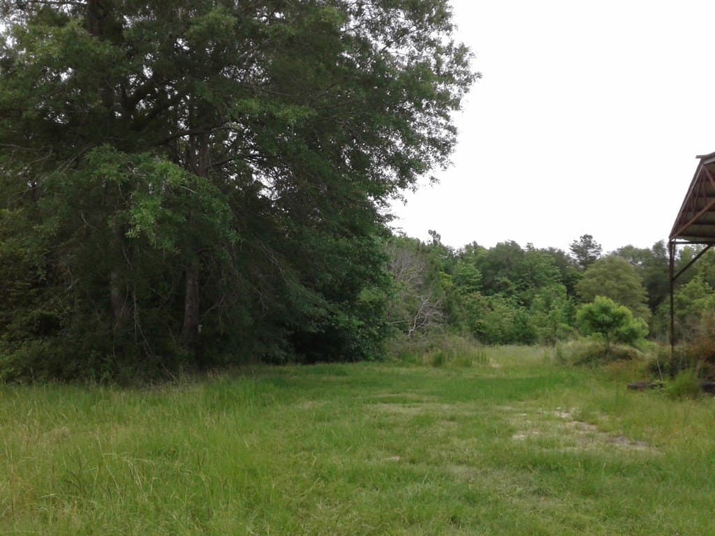 20.75 acres in Texas County - photo 13