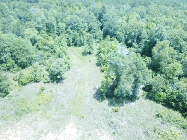 20.75 acres in Texas County - photo 26