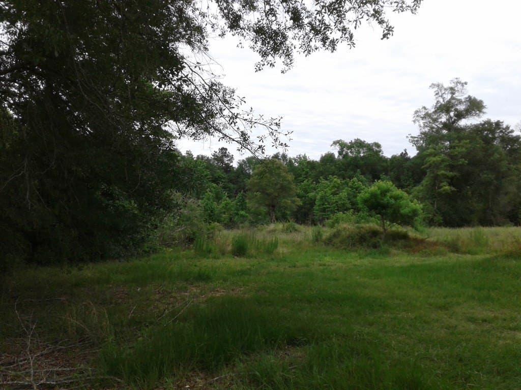 20.75 acres in Texas County - photo 14