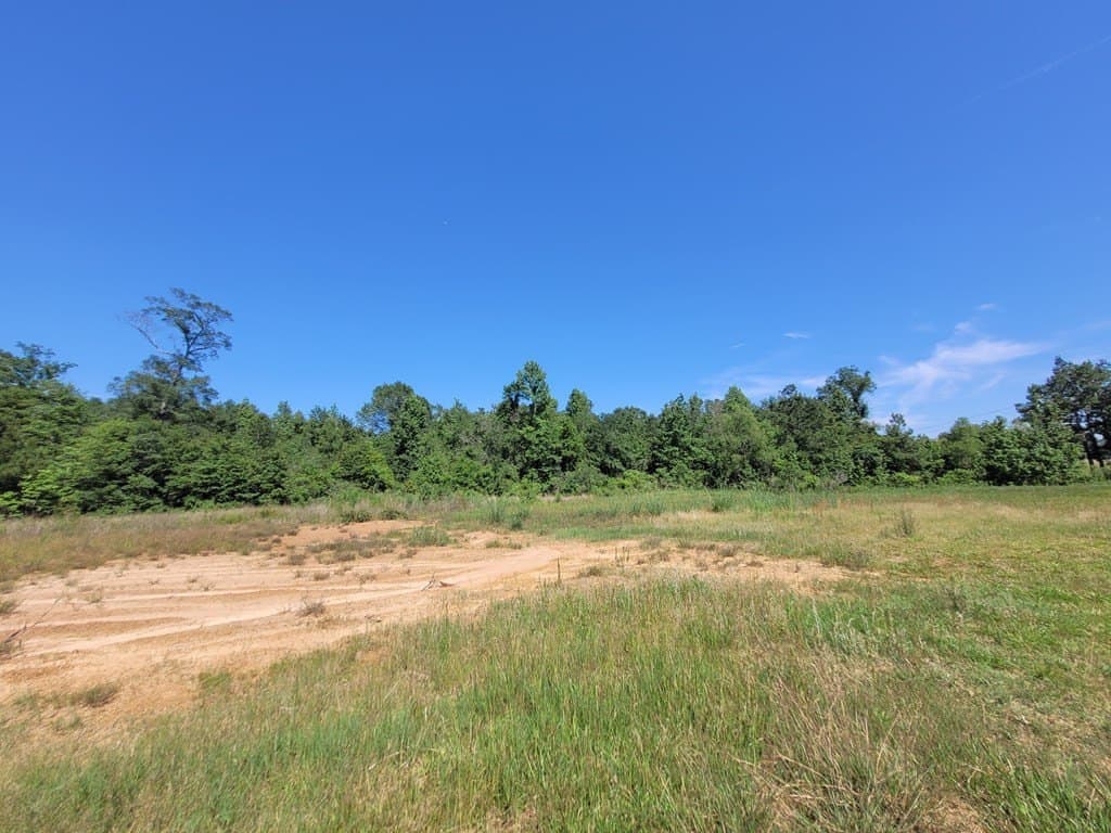 20.75 acres in Texas County - photo 8