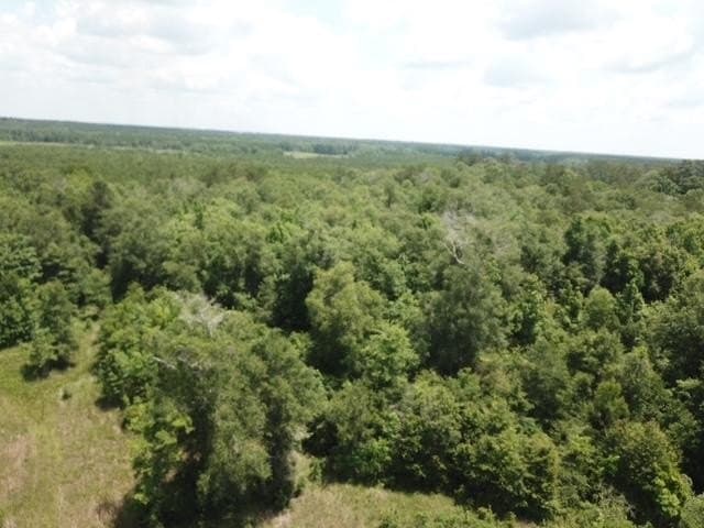 20.75 acres in Texas County - photo 25