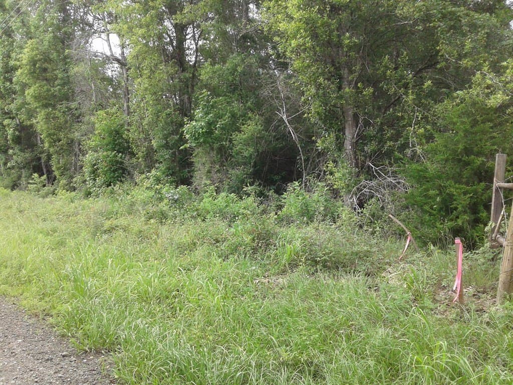 20.75 acres in Texas County - photo 16