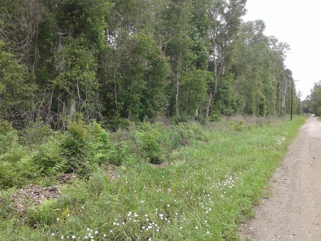 20.75 acres in Texas County - photo 15