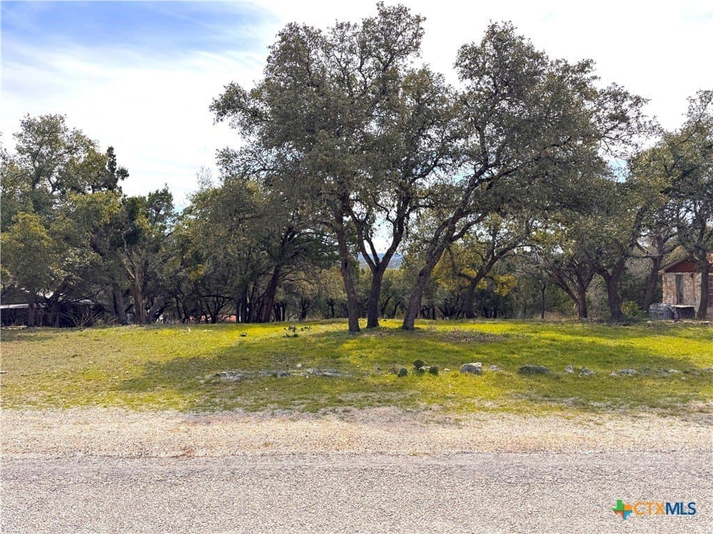 0.34 acres in Comal County - photo 4