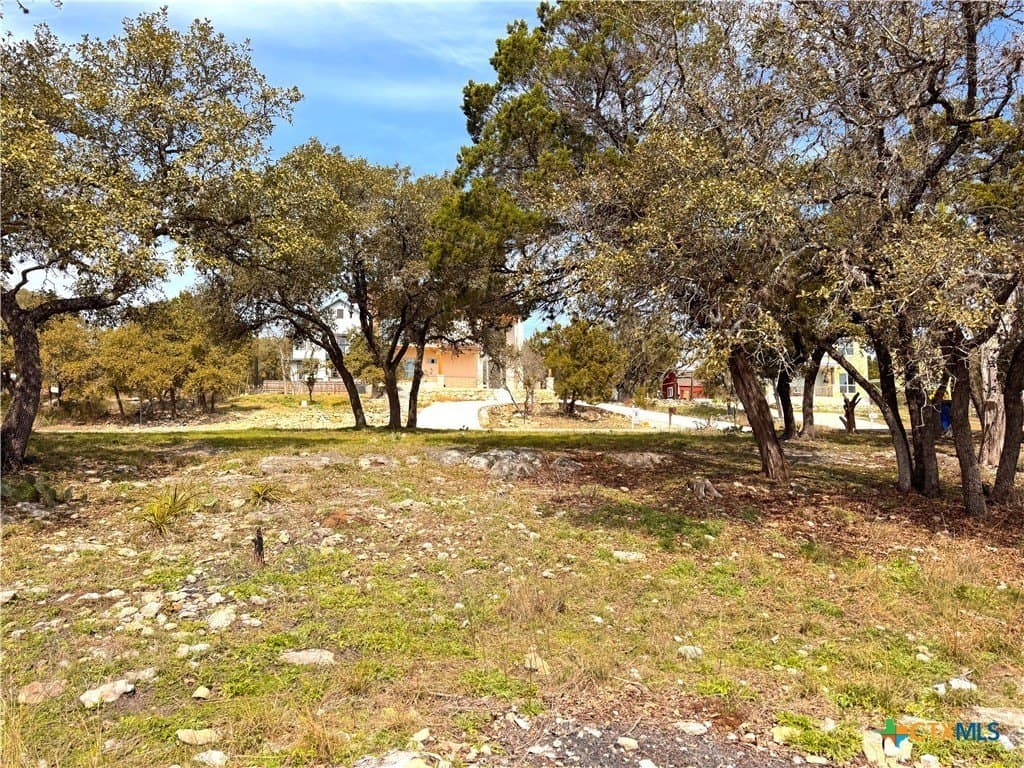 0.34 acres in Comal County - photo 7