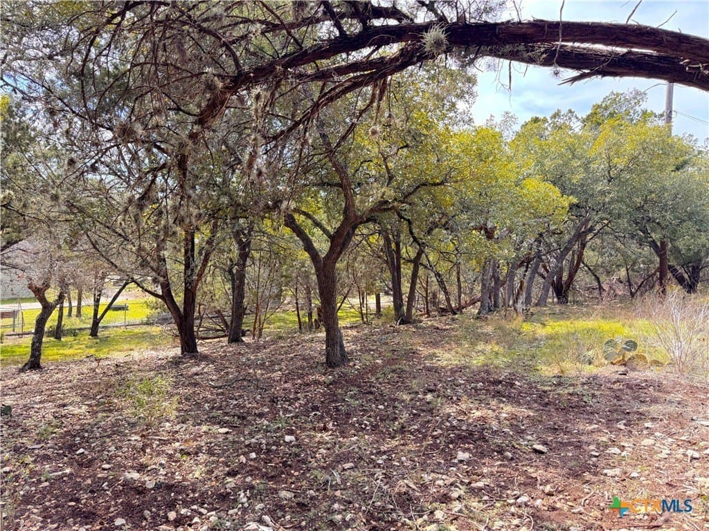 0.34 acres in Comal County - photo 6