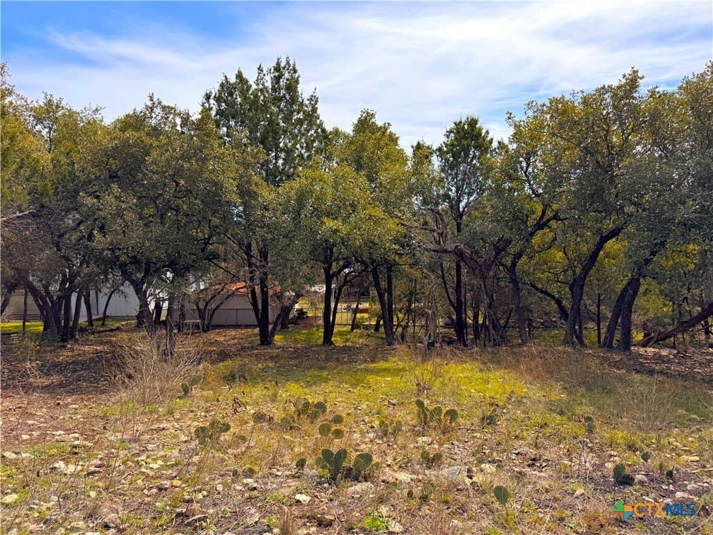 0.34 acres in Comal County - photo 2