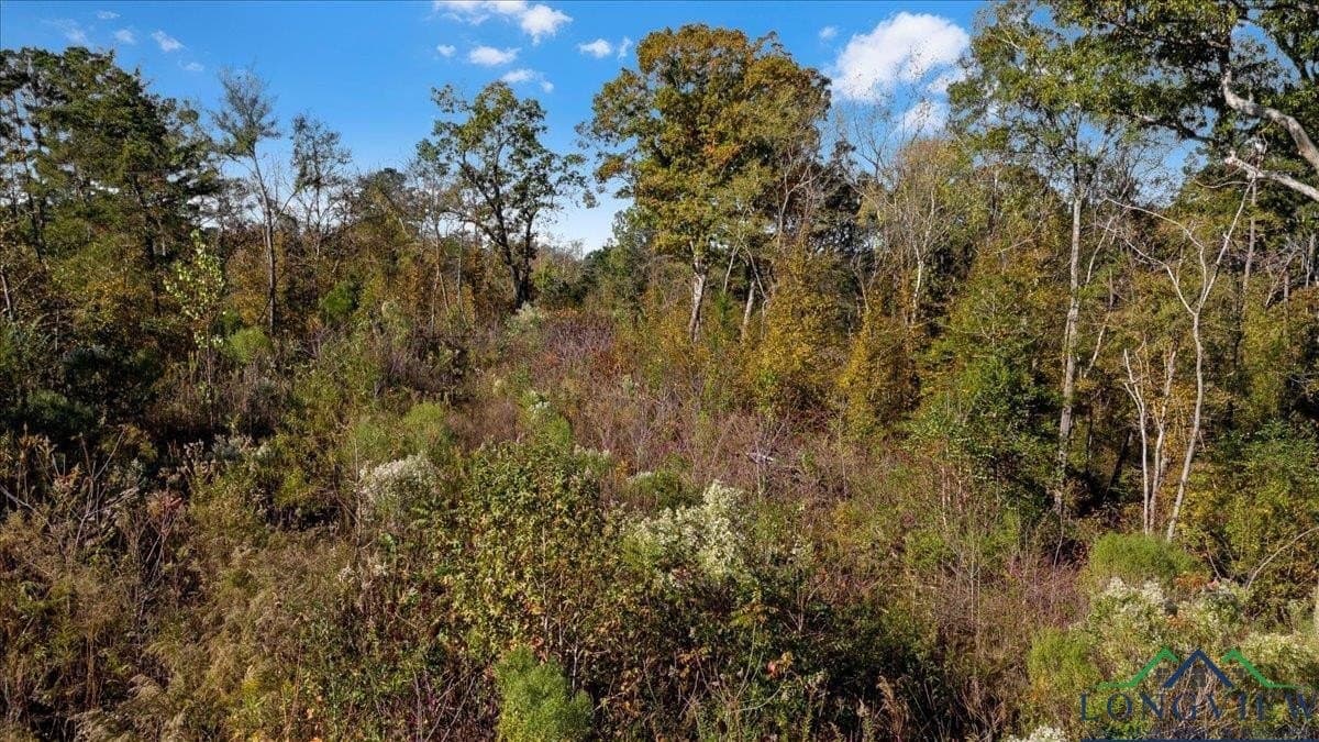 13.47 acres in Upshur County - photo 12