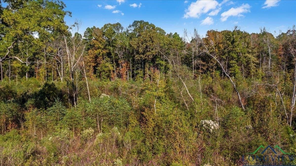 13.47 acres in Upshur County - photo 13