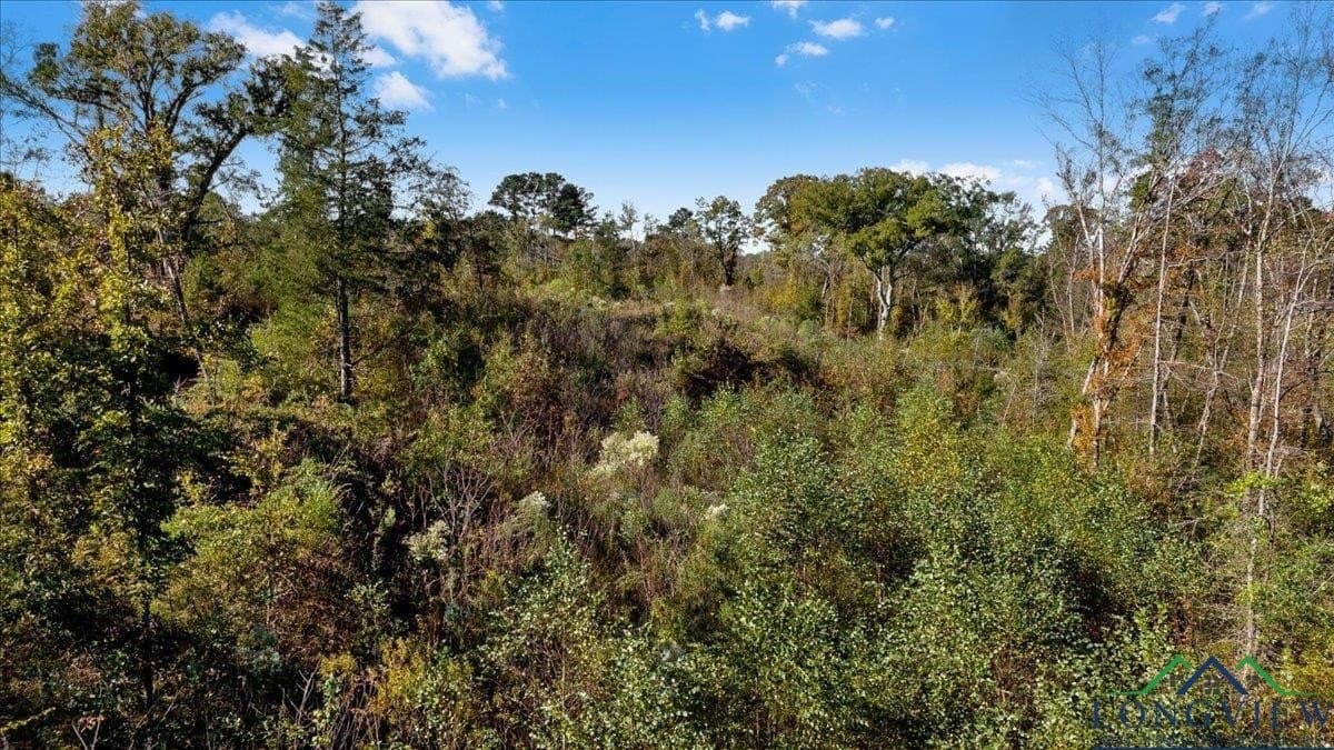 13.47 acres in Upshur County - photo 11