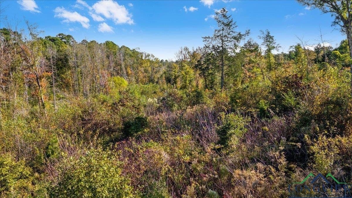 13.47 acres in Upshur County - photo 14