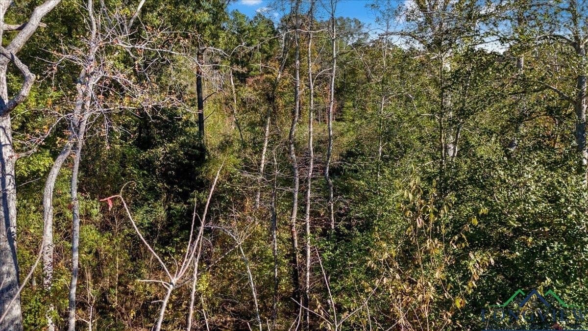 13.47 acres in Upshur County - photo 7